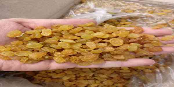 کشمش تیزابی آماده مصرف در بسته‌ بندی بهداشتی